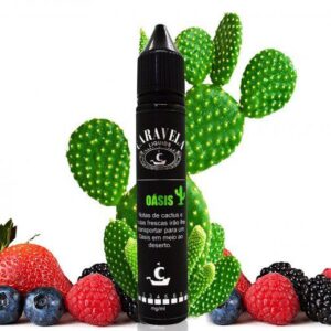 Caravela Liquids - Juice FB - Oásis