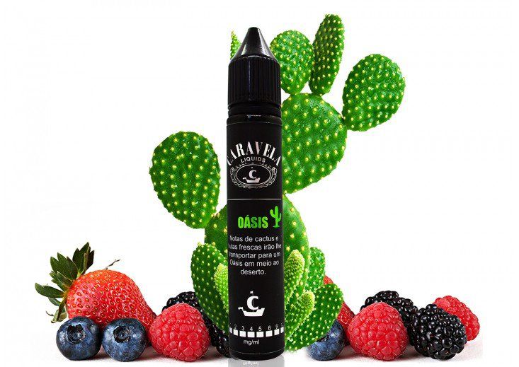 Caravela Liquids - Juice FB - Oásis