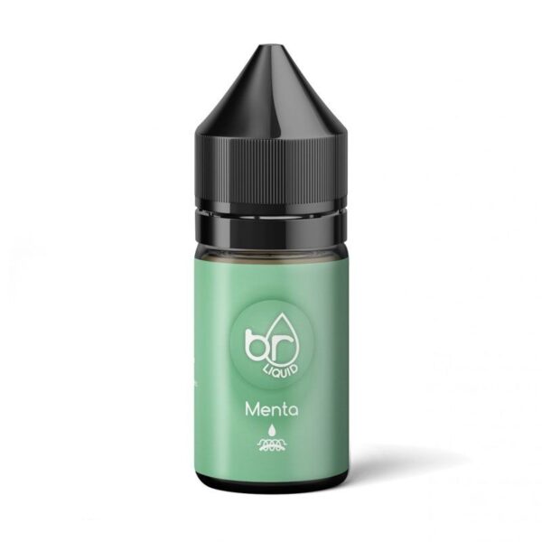menta premier smoker